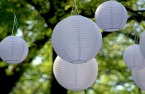 paper lanterns hanging in a tree.jpg